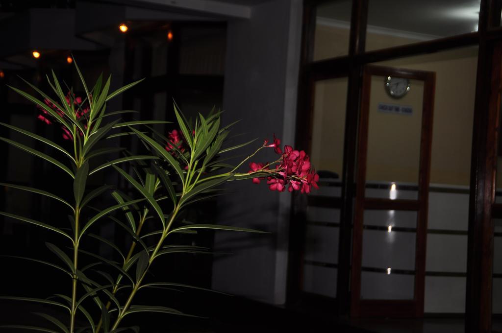Hotel Melbourne Tourist Rest Anuradhapura Esterno foto